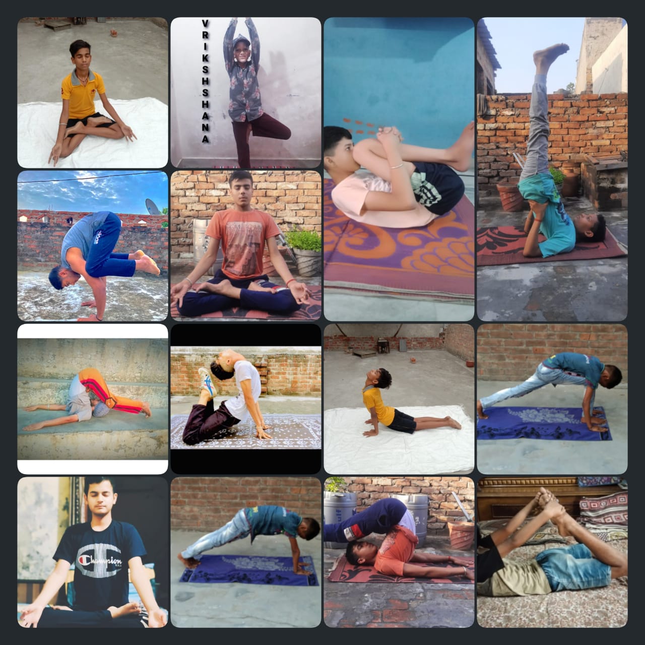 Celebrated Yoga Day 